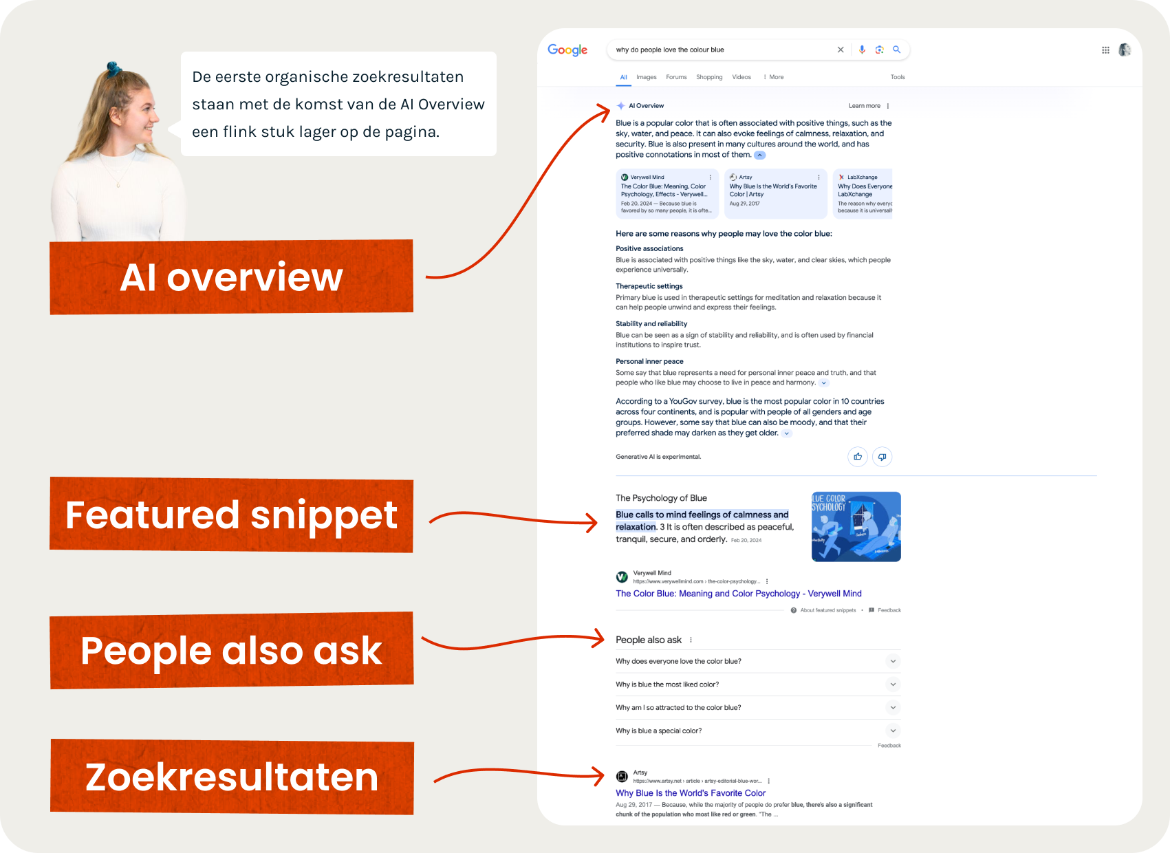 Hoe ziet AI Overview eruit